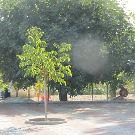 Maria Villa